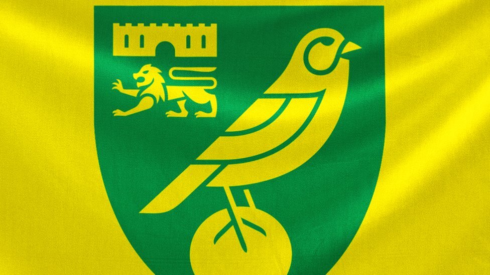 Deal Complete: Norwich City Star Player Terminated His Contract After Quarrelling With Coach